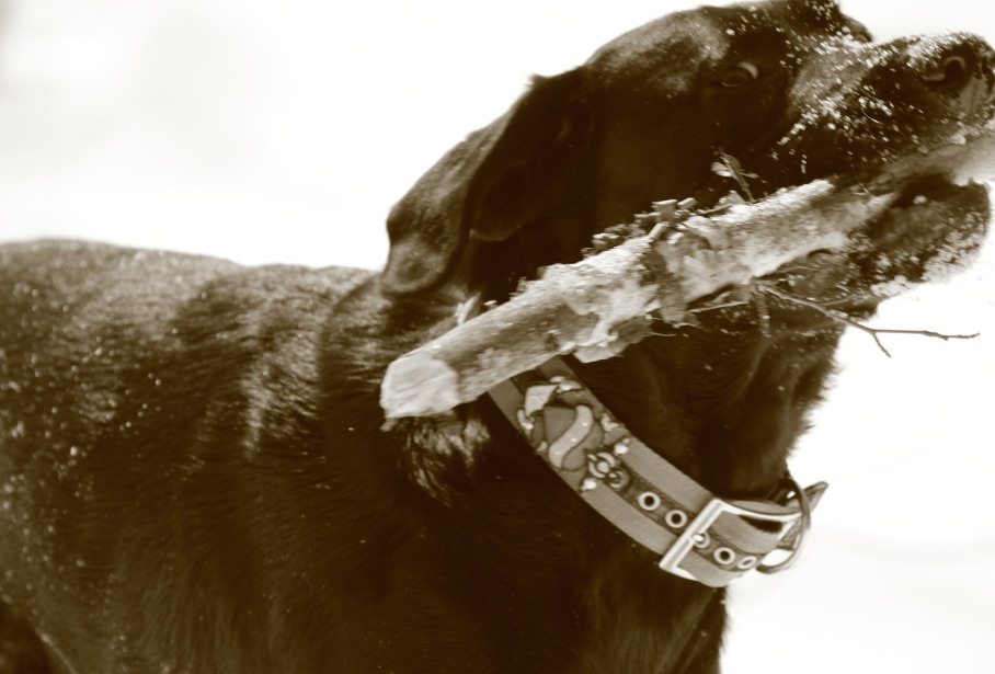 EMotion - Pictures - Startseite